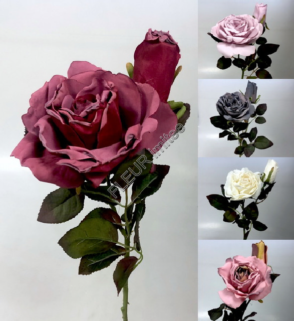 Růže x2 48cm 24/240