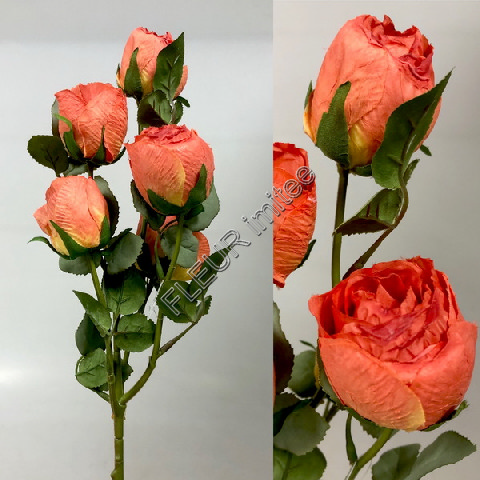 Růže x5 Vintage 70cm 12/360