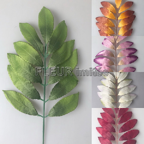 List vavřín 48cm  144/1440