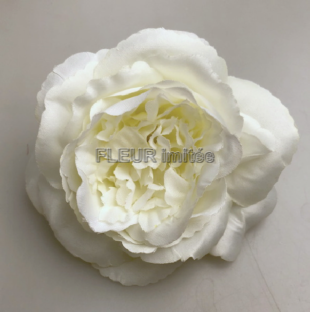 Květ růže Mary Rose11cm 12/720