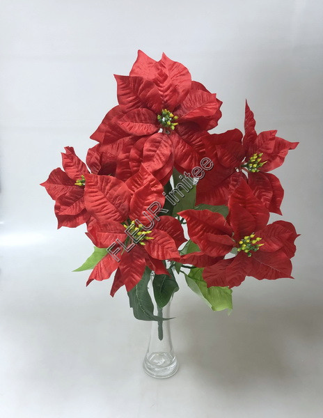 Poinsettia kyt. x5 53cm 12/72