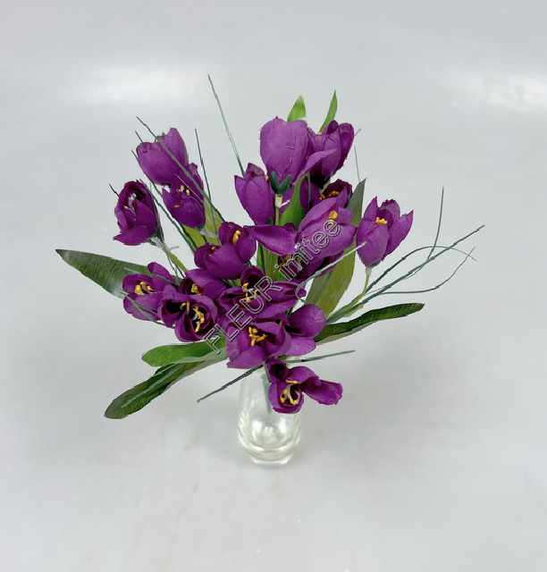 Crocus x7 27cm  36/360