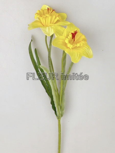 Narcis x2 41cm  48/480
