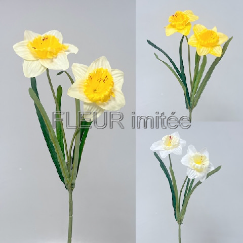 Narcis x2 41cm  48/480