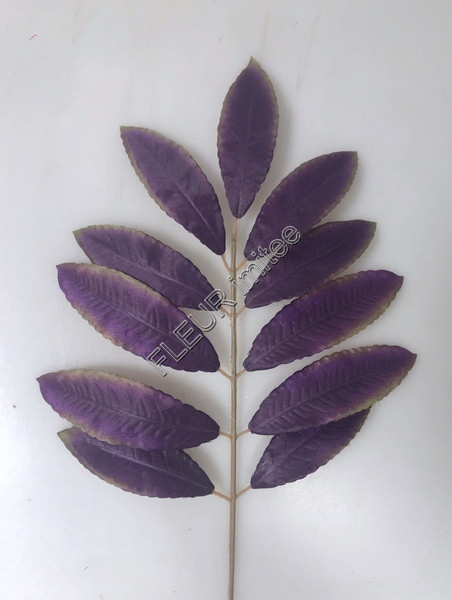 List vavřín 46cm 144/1440