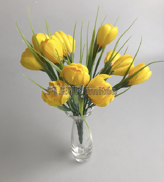 Crocus x12 26cm 24/240