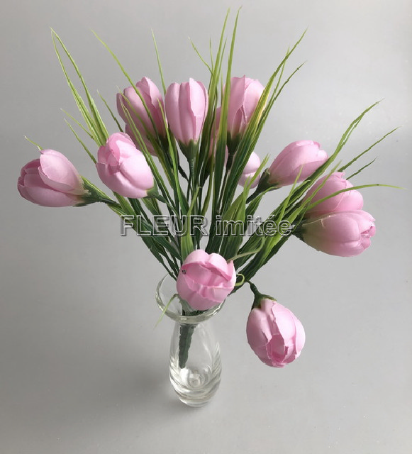 Crocus x12 26cm 24/240