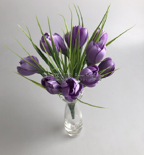 Crocus x12 26cm 24/240