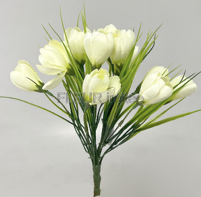 Crocus x12 26cm 24/240