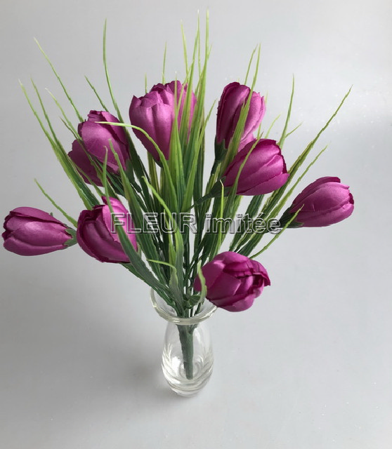 Crocus x12 26cm 24/240