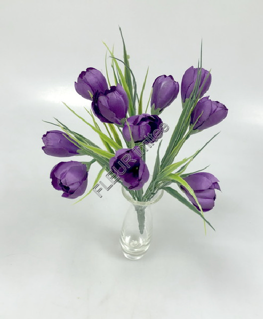 Crocus x12 26cm 24/240