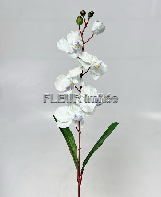 Orchidea 77cm 12/144