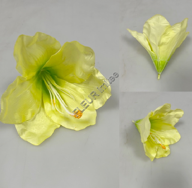 Květ amarylis 12cm 12/288