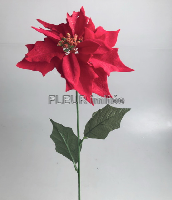 Poinsettia x1 65cm 12/144