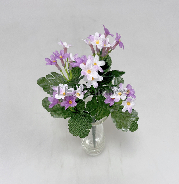 Pomněnka kyt.x5  25cm 36/360