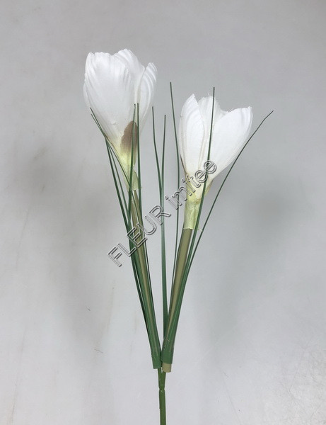 Crocus x2 30cm 48/576