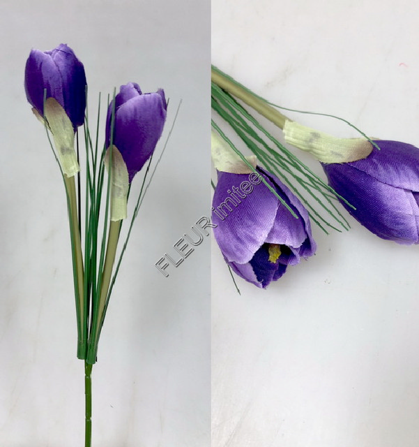 Crocus x2 30cm 48/576