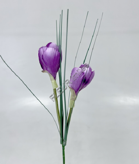 Crocus x2 30cm 48/576