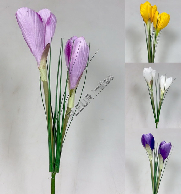 Crocus x2 30cm 48/576