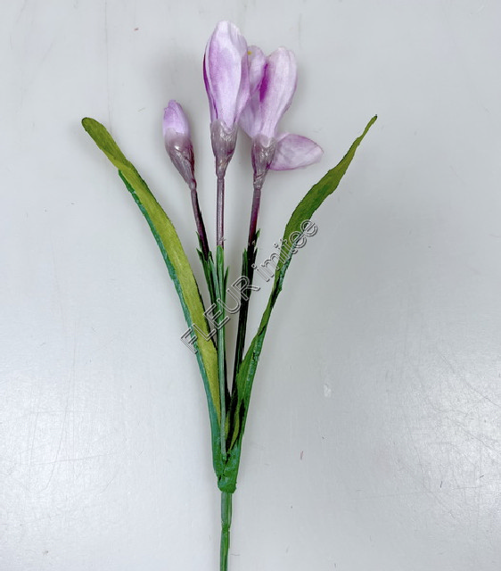 Crocus x3 kv. 30cm 96/1440