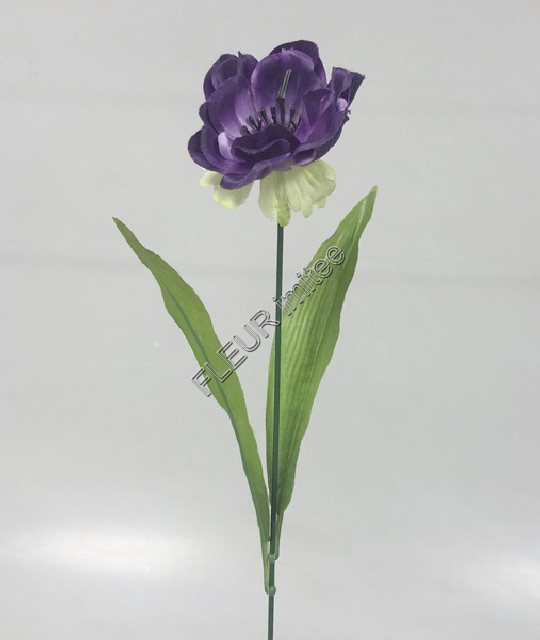Anemonka x1 45cm 12/96