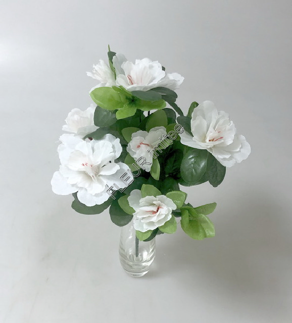 Azalka x7  30cm  36/432