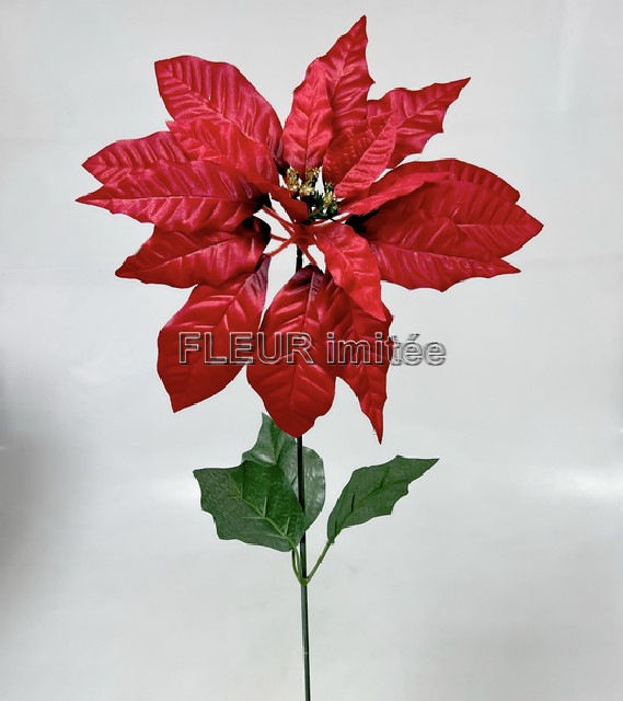 Poinsettia x1 65cm 12/144