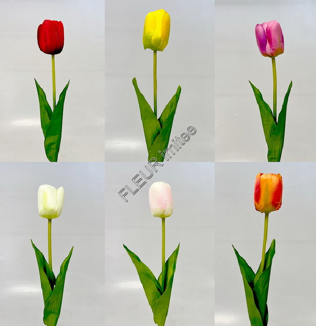Tulipán x1 53cm 24/288