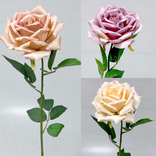 Růže x1 69cm