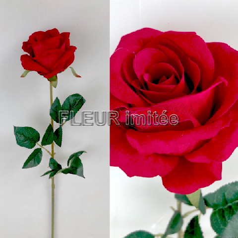 Růže velvet x1  68cm 36/216