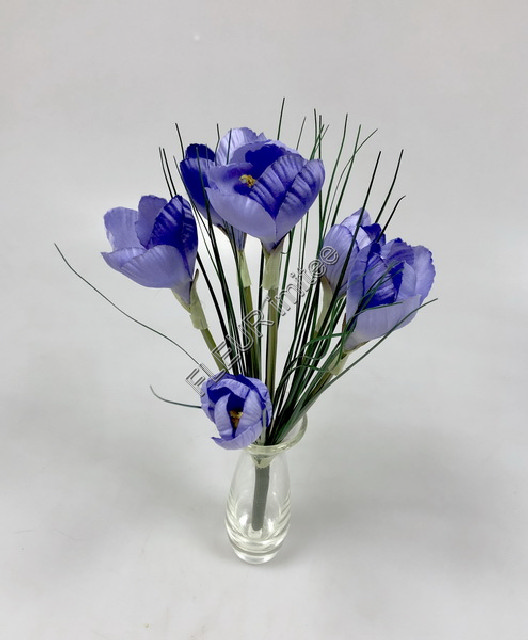 Crocus x6  32cm 24/288