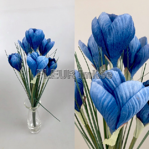 Crocus x6  32cm 24/288