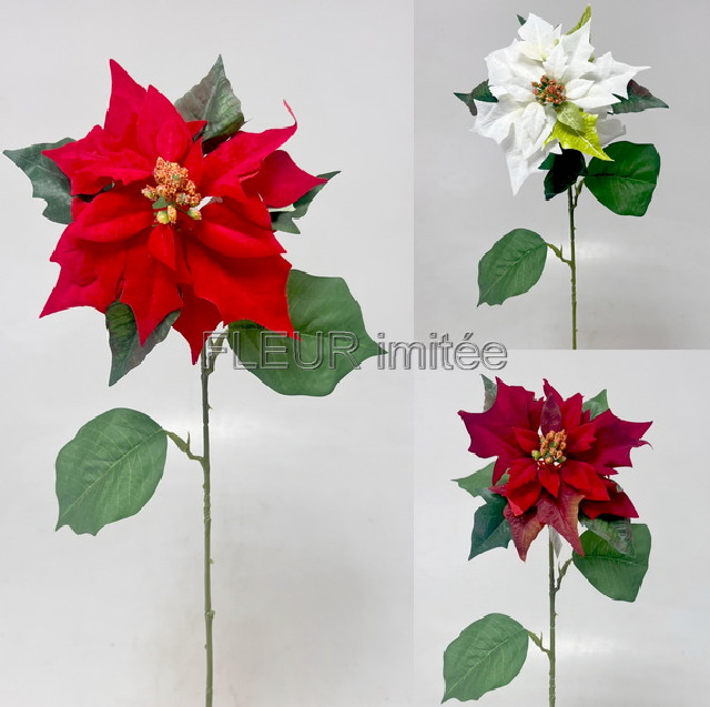 Poinsettia x 1  60cm