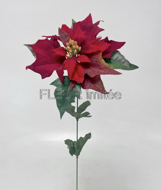 Poinsettia x 1  60cm