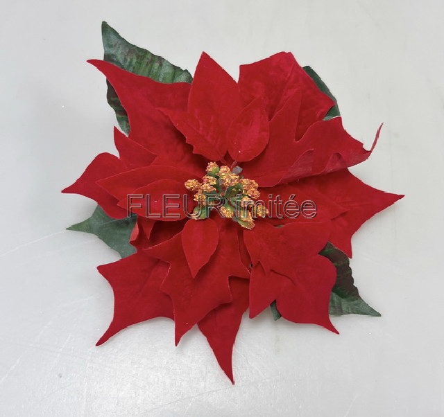 Květ poinsettia 21cm 12/288