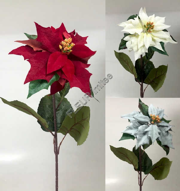 Poinsettia x1 70cm velvet 12/144