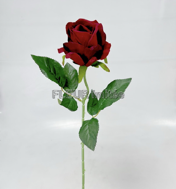 Růže x1 velvet 53cm 48/480