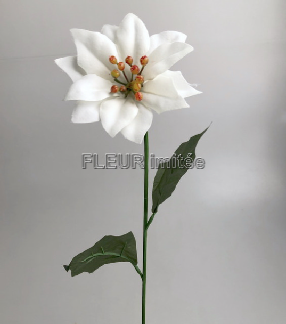 Poinsettia velvet  50cm /10cm 12/144
