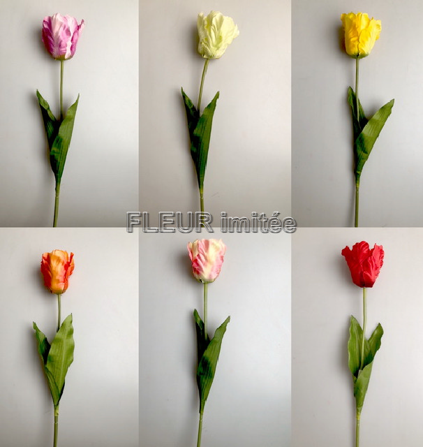 Tulipán x1   62cm     48/480