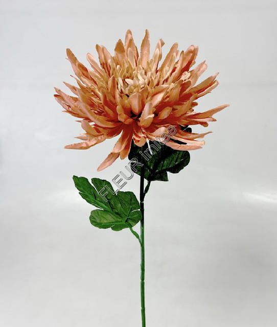 Chryzantéma x1 67cm