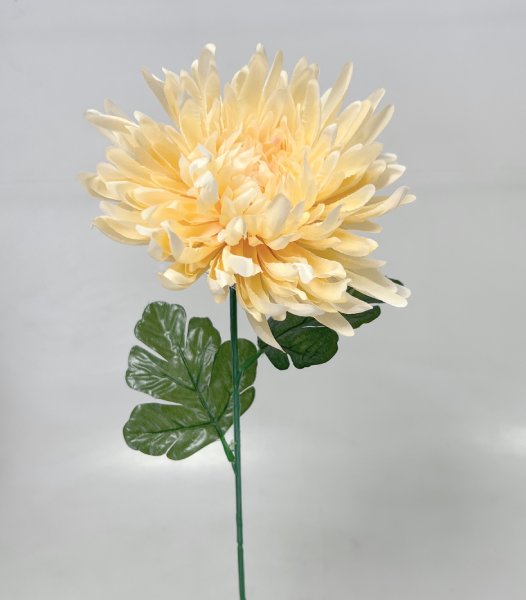Chryzantéma x1 67cm
