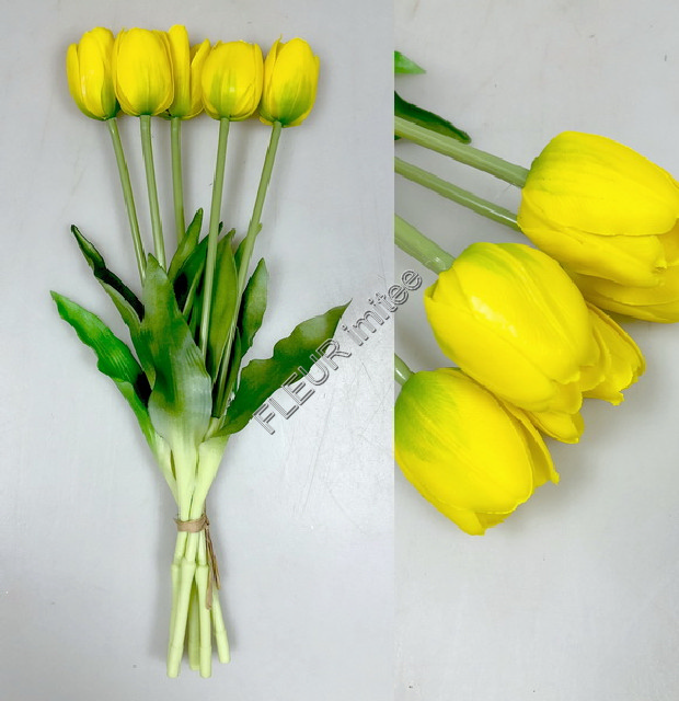Tulipán x5 latex 40cm 12/72