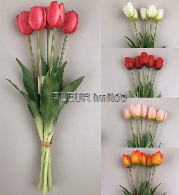 Tulipán x5 latex 40cm 12/72
