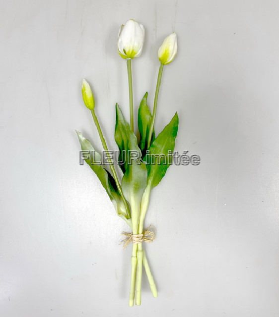 Tulipán x3 latex 40cm 6/72