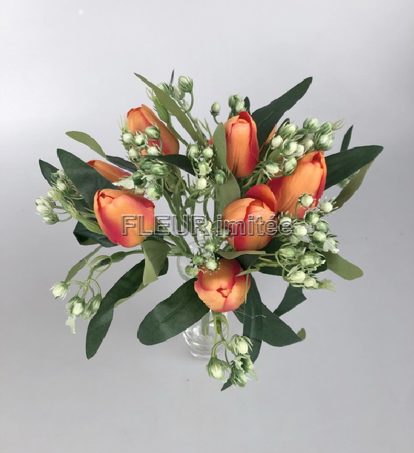 Tulipán x9  s bobulk.33cm 24/240