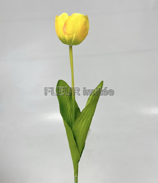 Tulipán x1 55cm 48/480