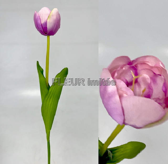 Tulipán x1 55cm 48/480