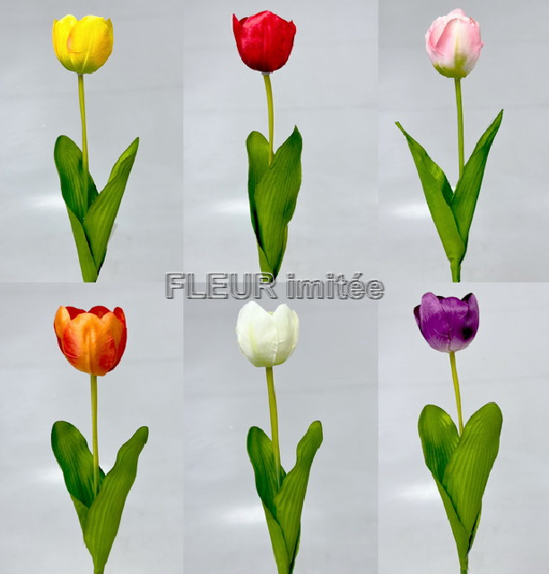 Tulipán x1 55cm 48/480