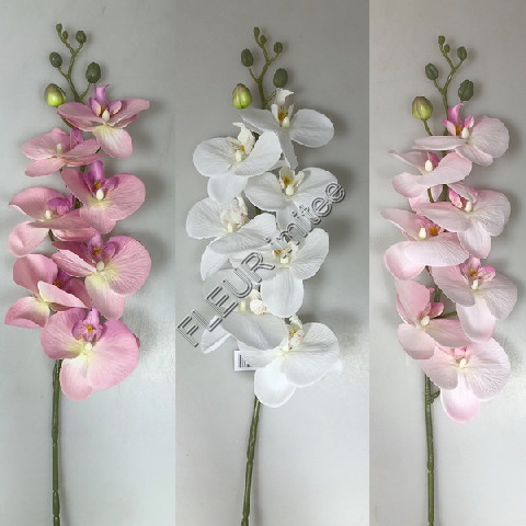 Orchidea 92cm 24/144