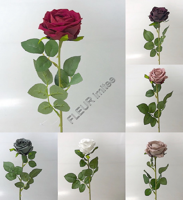 Růže x1 velvet 50cm 48/480
